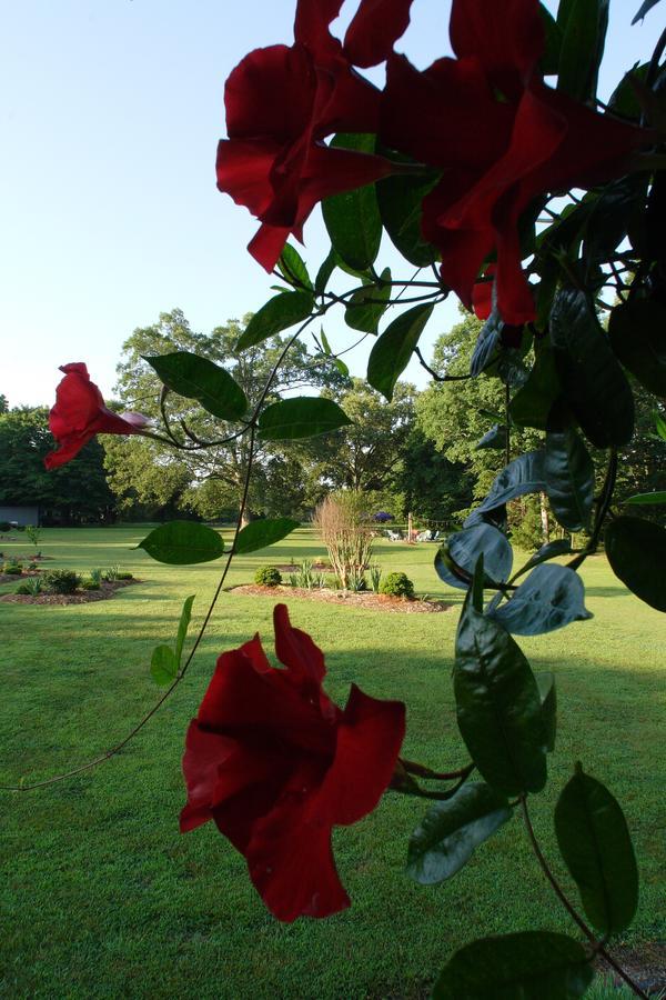 Seven Oaks Bed & Breakfast High Point Exterior photo